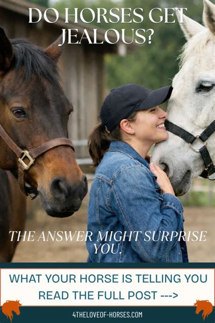 Can horses get jealous?