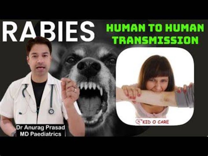 Can humans spread rabies?