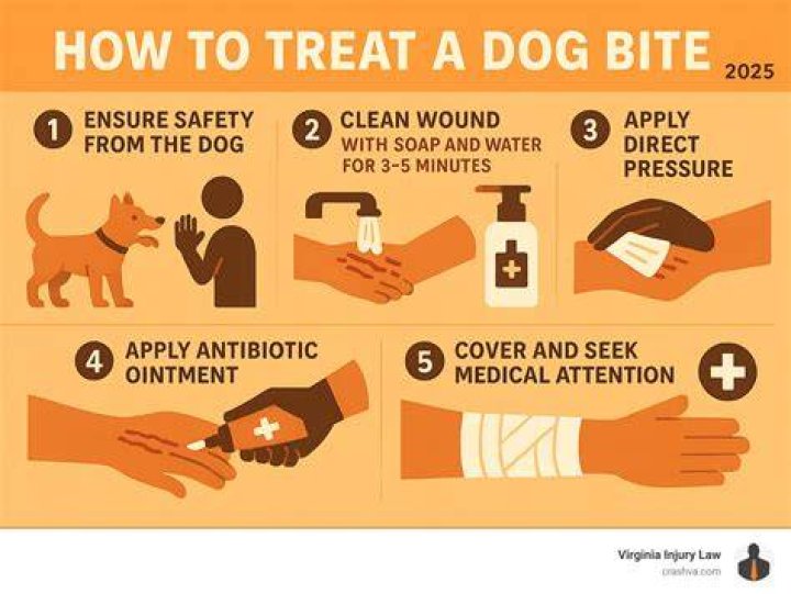Can I put a bandaid on my dog's nose?