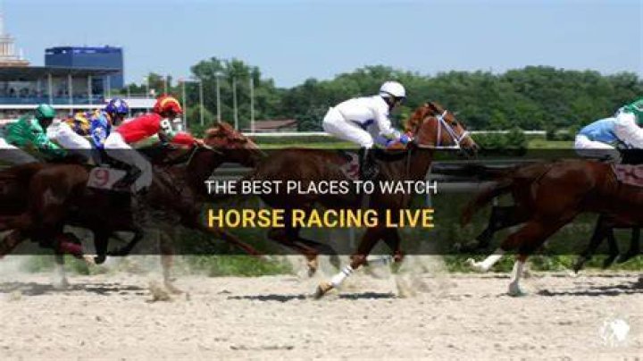 Can I watch horse racing live?