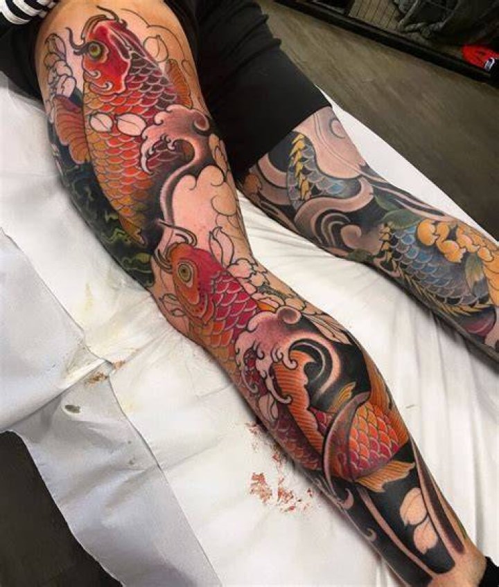Can koi see in the dark?