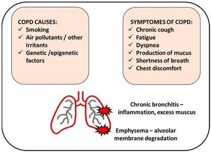 Can lungs heal from COPD?