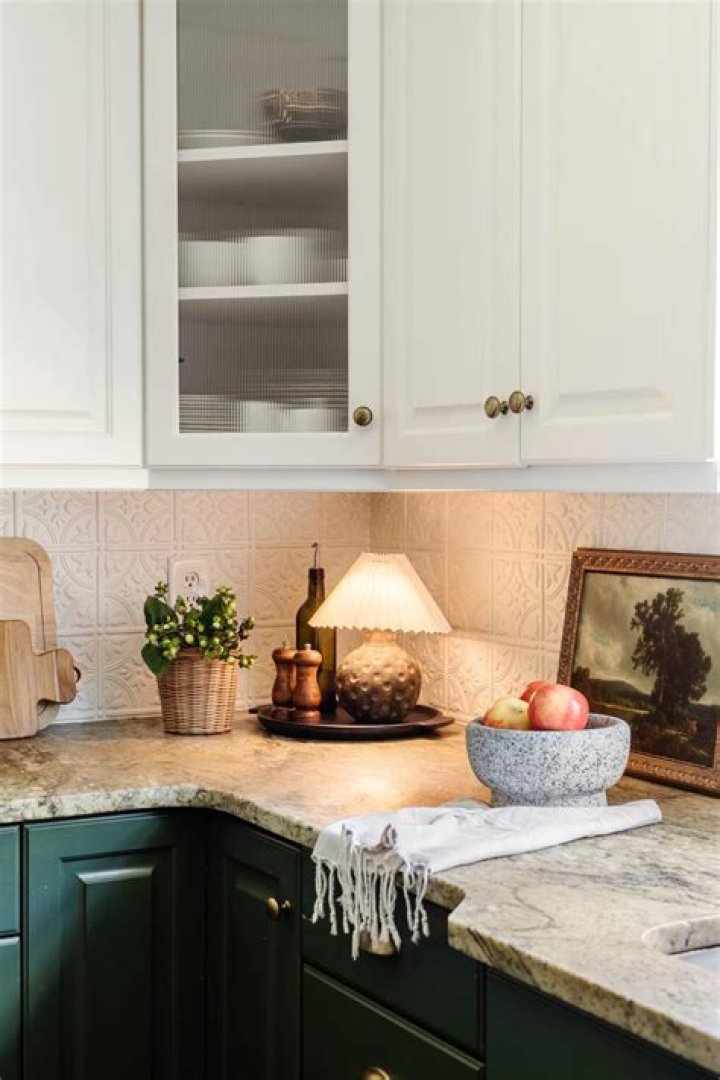 Can mice climb kitchen counters?