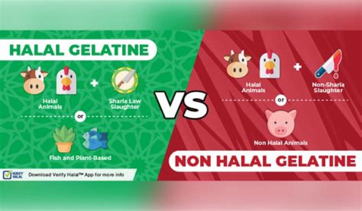 Can Muslims eat gelatin?