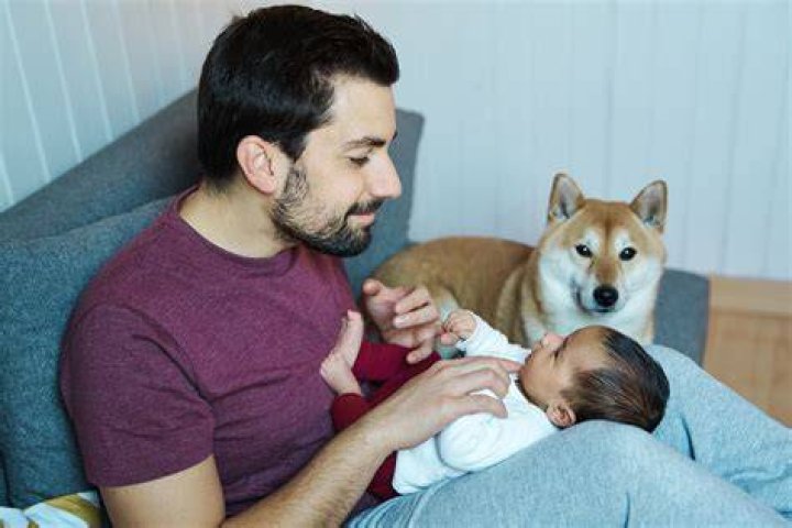 Can my dog kiss my baby?