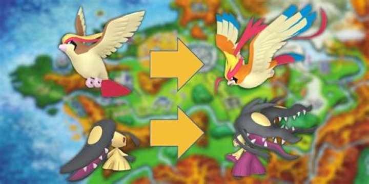 Can Pokémon Catch humans?