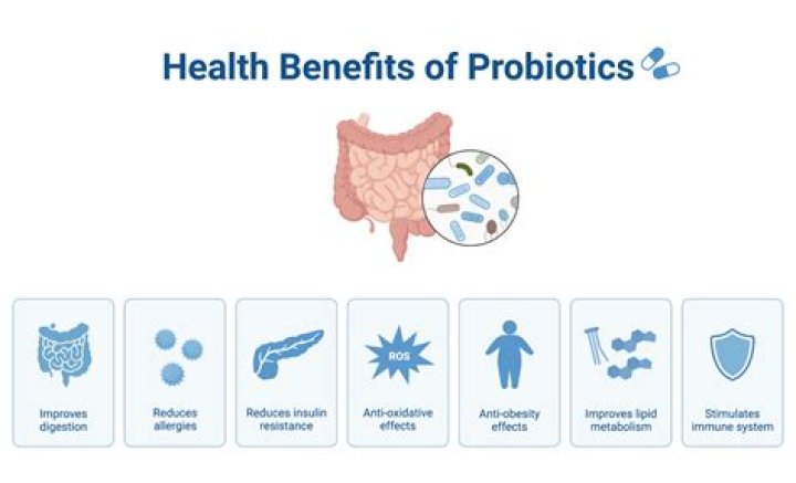 Can probiotics affect your immune system?