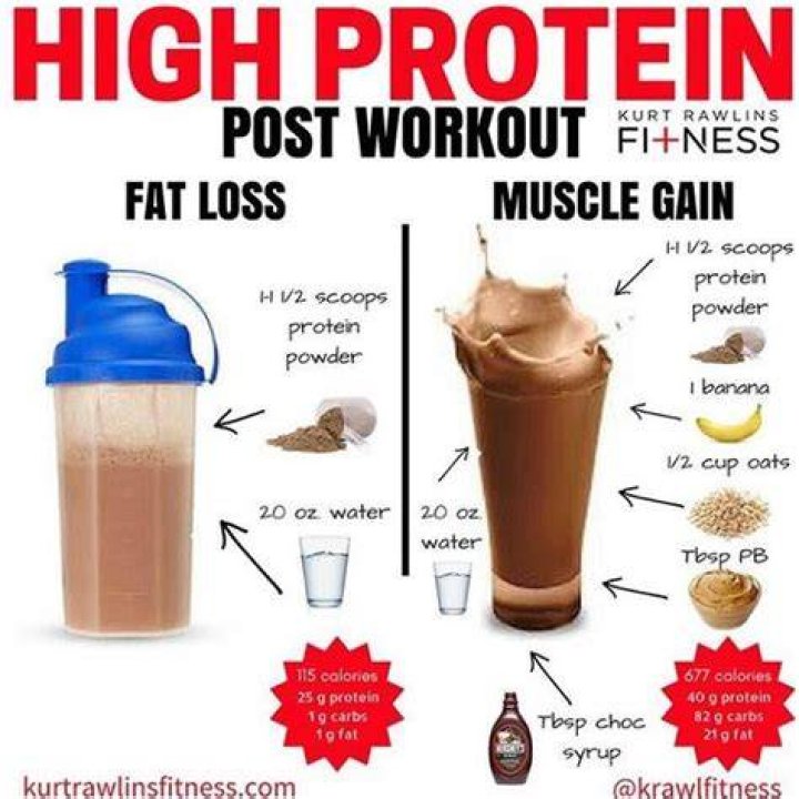 Can protein shakes make you gain weight without working out?