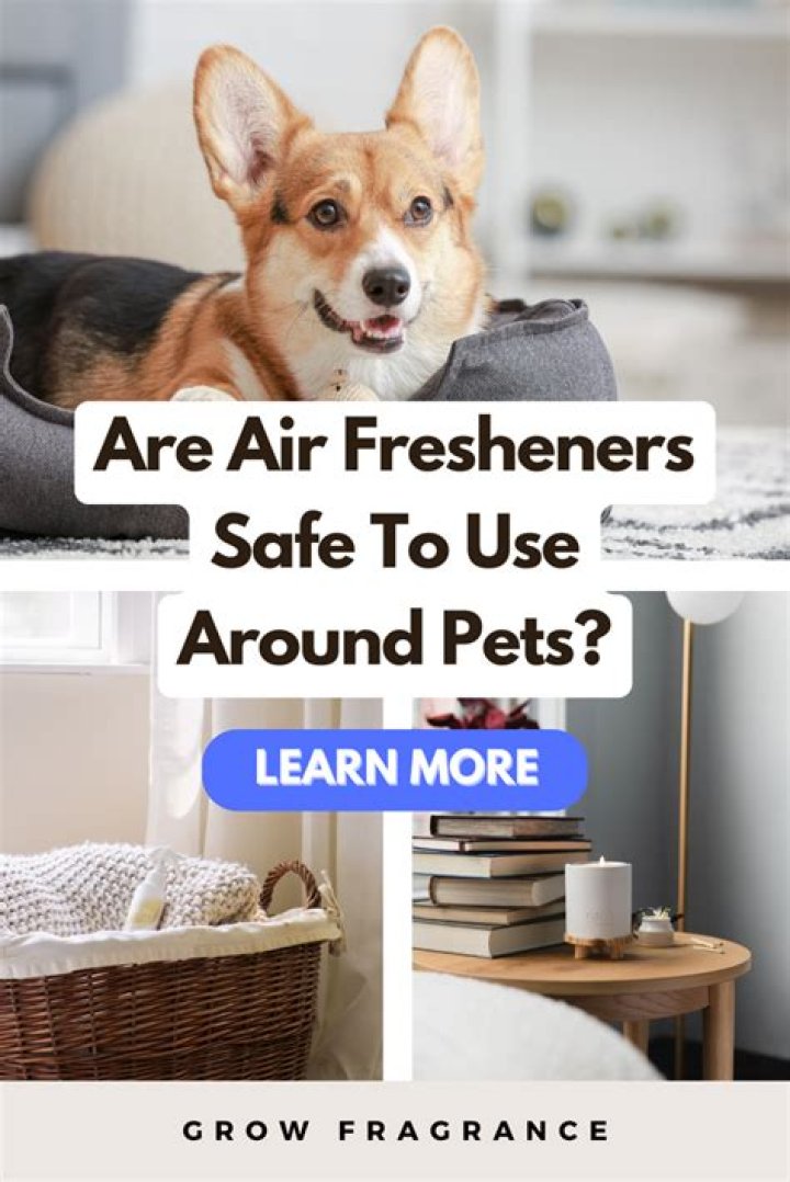 Can Roundup be used around pets?