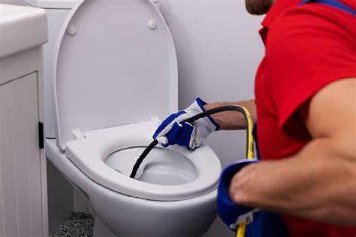 Can sea salt unclog a toilet?