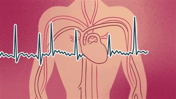 Can sharks hear your heartbeat from 5 miles away?