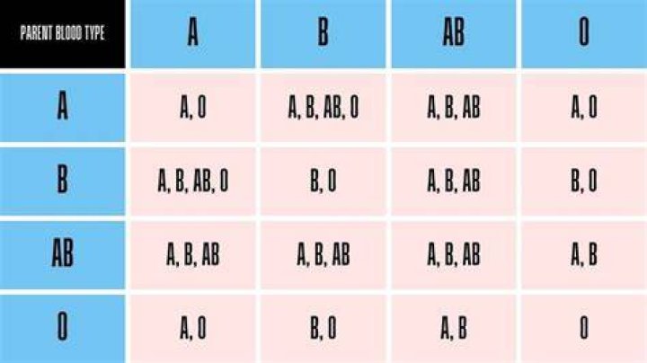 Can siblings have different blood types?