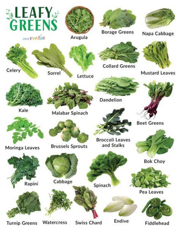 Can tortoises eat baby greens?