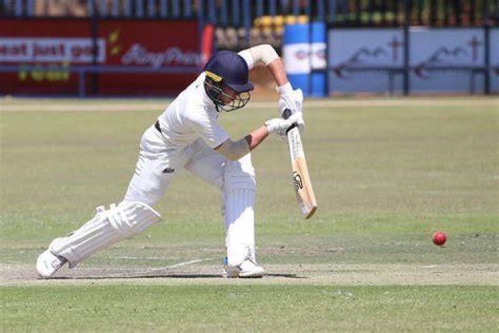 Can u kick the ball in cricket?