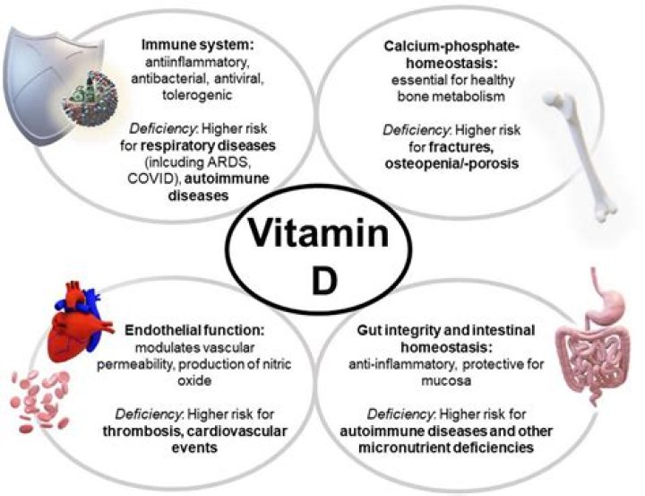 Can vitamin D3 cause inflammation?