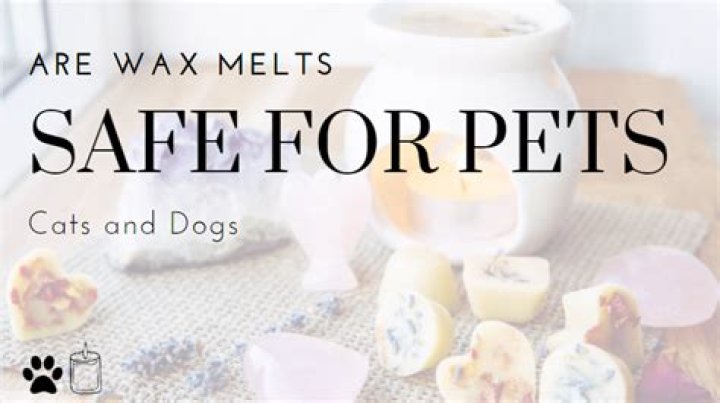 Can wax melts make cats sick?