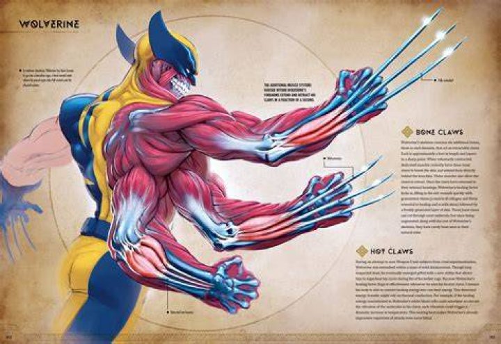 Can Wolverine regrow limbs?