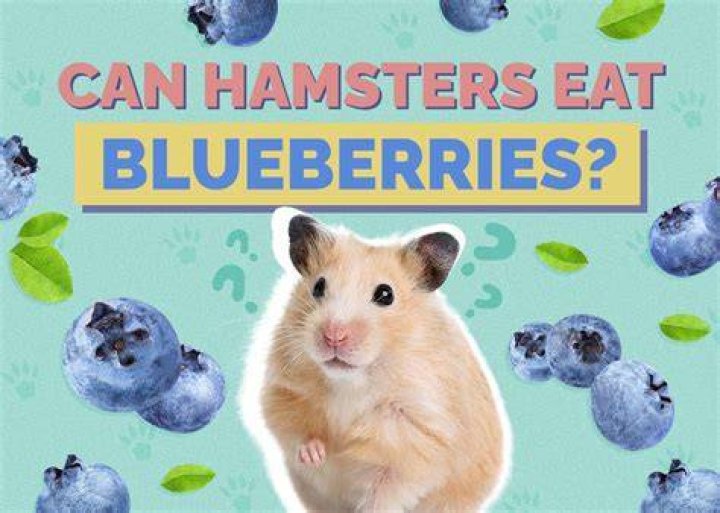Can worms eat blueberries?