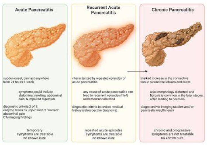 Can you be overweight with chronic pancreatitis?