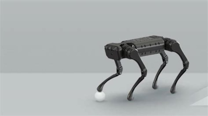 Can you buy a robot dog?