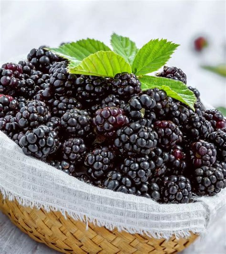 Can you can blackberries?