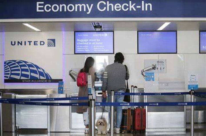 Can you check in firearm at JFK?