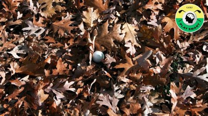 Can you declare your ball lost in golf?