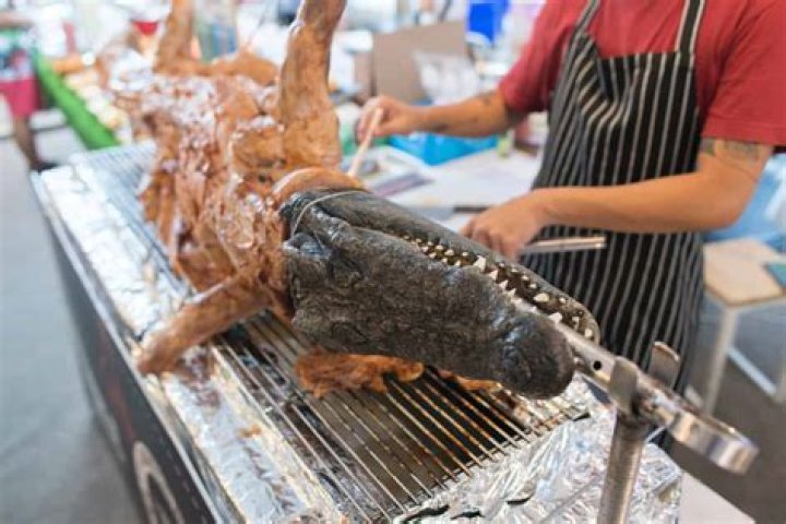 Can you eat alligator meat?