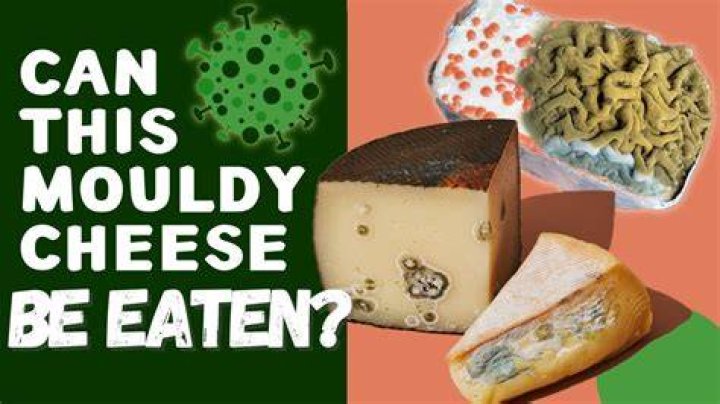 Can you eat cheese if you have gout?