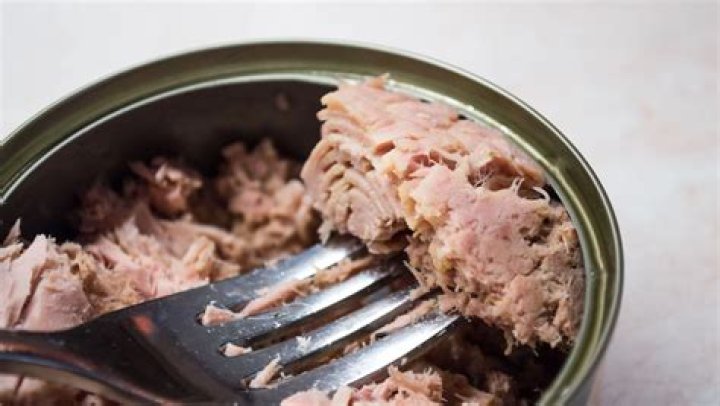 Can you eat tuna everyday bodybuilding?