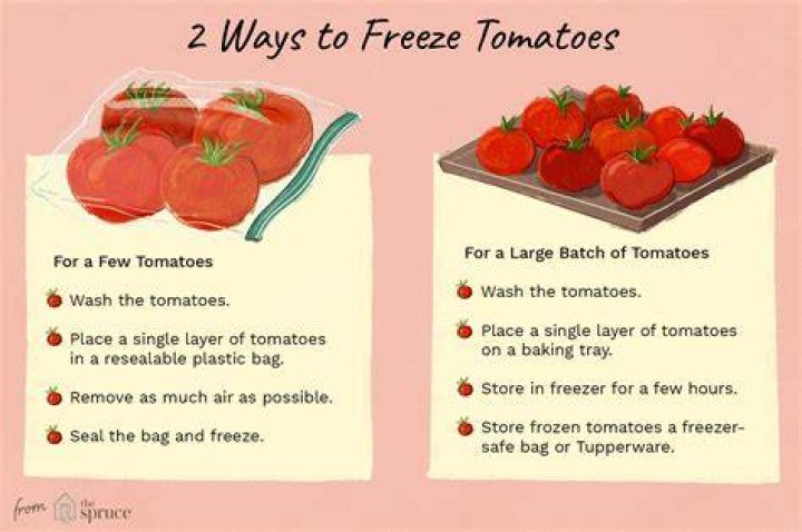 Can you freeze tomatoes?