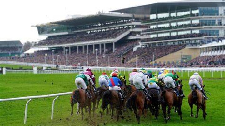 Can you get at the races on Freeview?