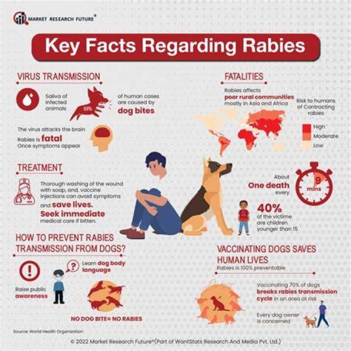 Can you get tested for rabies?