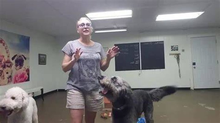Can you give your dog too much attention?
