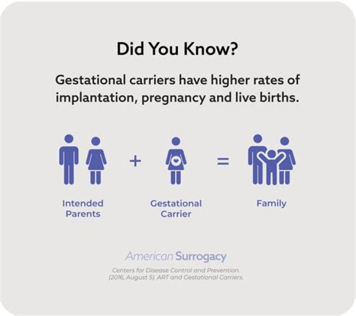 Can you have surrogacy on the NHS?