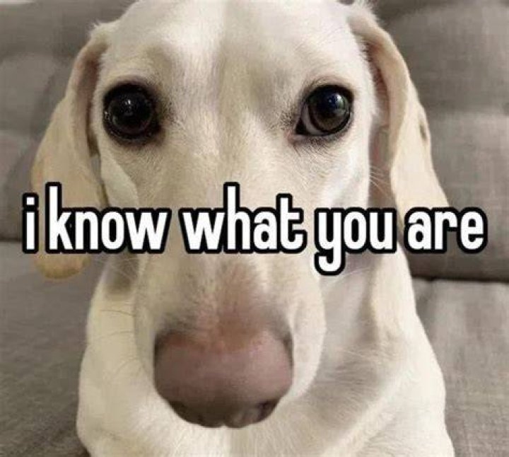 Can you just know you are pregnant?