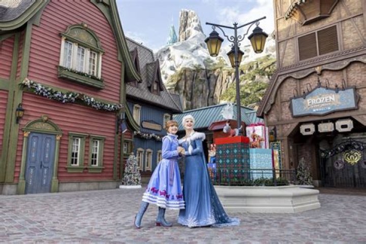 Can you meet Elsa at Disneyland?