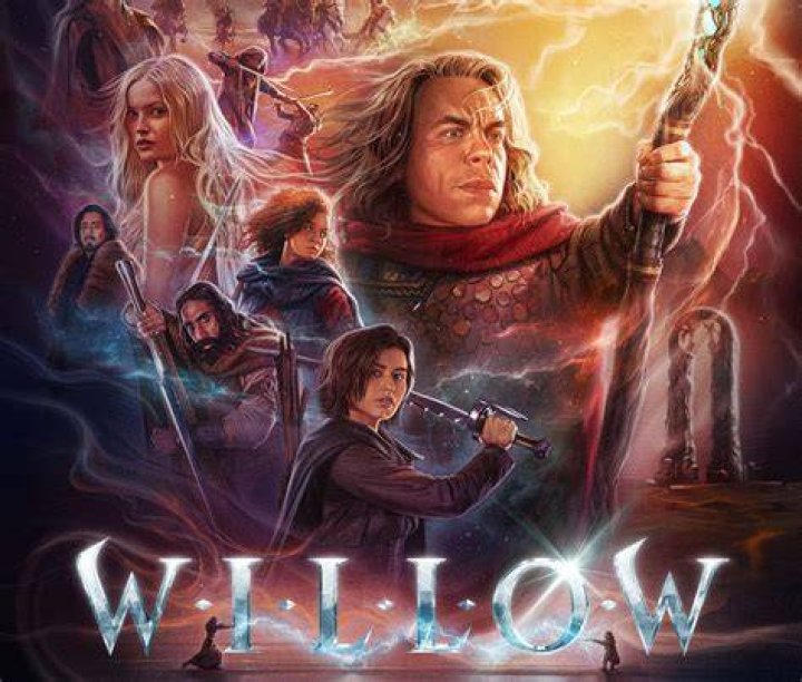 Can you move willow?