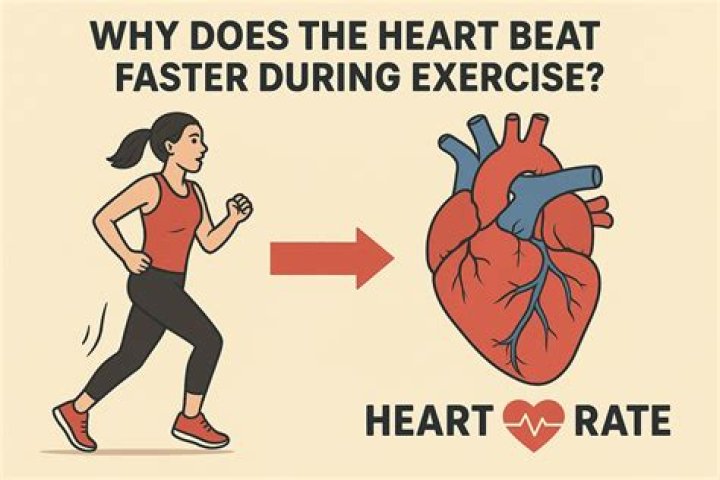 Can you overwork your heart during exercise?