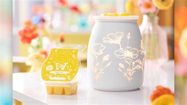 Can you paint a Scentsy warmer?