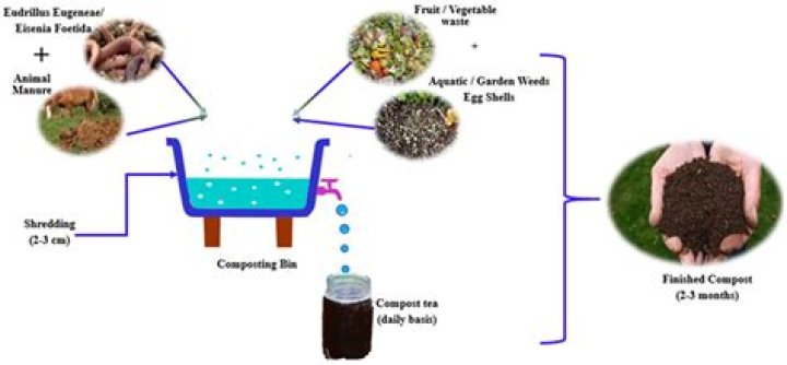 Can you put manure on top of soil?
