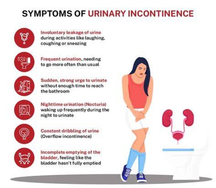 Can you stop incontinence in dogs?