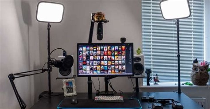 Can you stream without a mic?