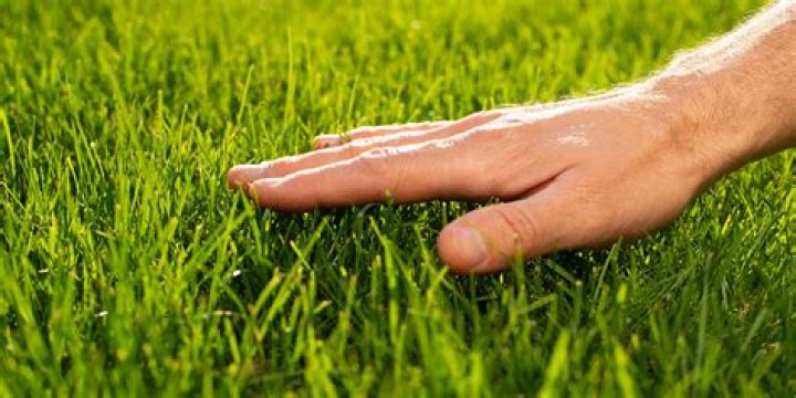 Can you touch the green with your hand?
