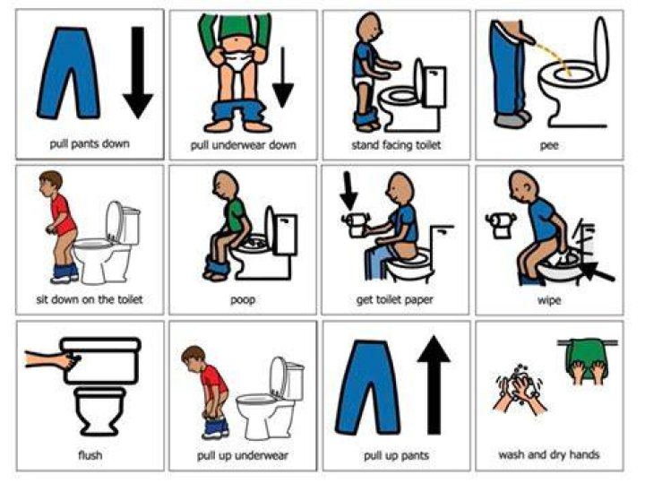 Can you use pee as DEF fluid?