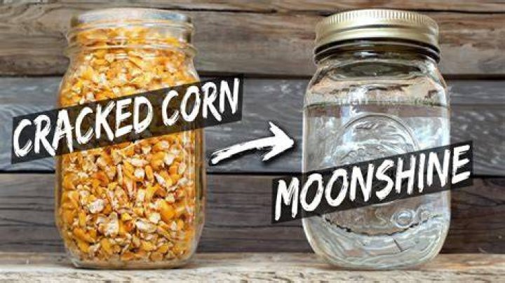 Can you use regular yeast to make moonshine?