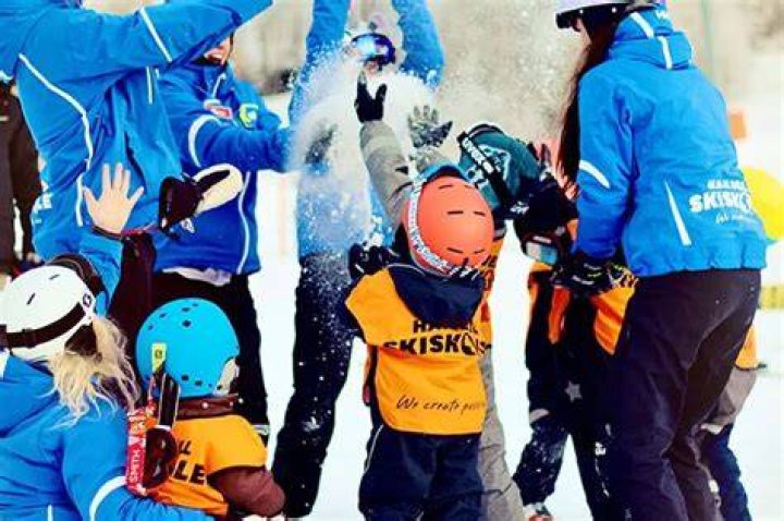 Can you use skins on alpine skis?