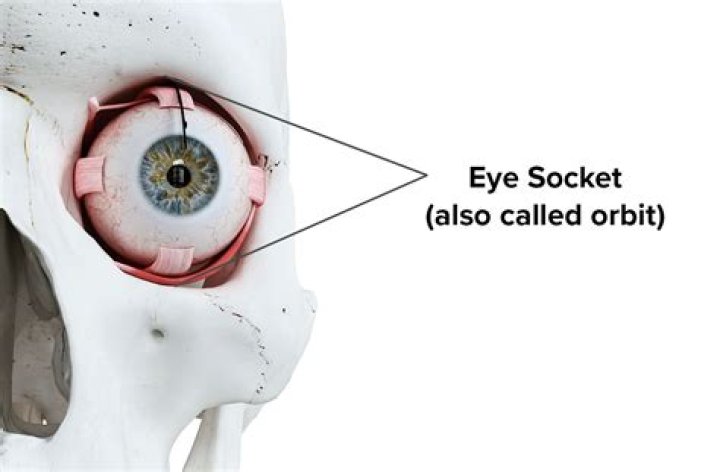 Can your eyeball fall out?