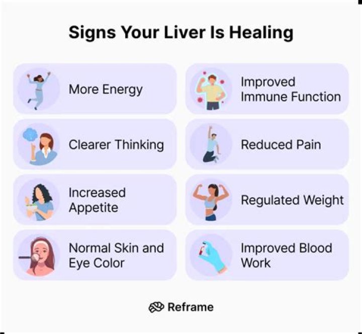 Can your liver heal itself?