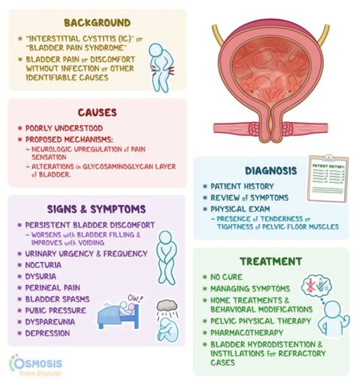 Can zinc irritate the bladder?